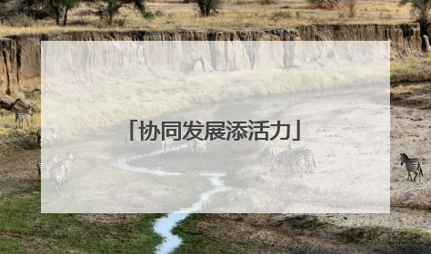 协同发展添活力