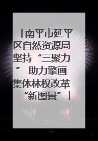 南平市延平区自然资源局坚持“三聚力” 助力擎画集体林权改革“新图景”