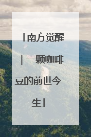 南方觉醒｜一颗咖啡豆的前世今生