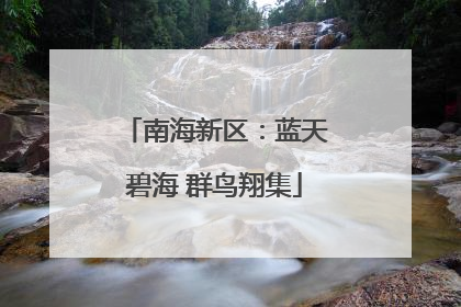 南海新区：蓝天碧海 群鸟翔集
