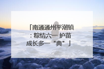 南通通州平潮镇：粽情六一 护苗成长多一“典”