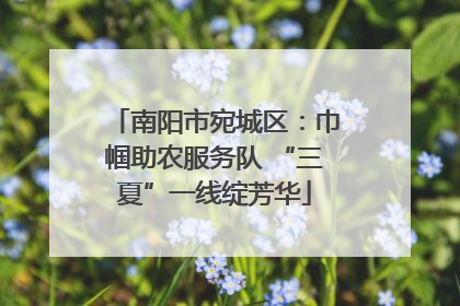南阳市宛城区：巾帼助农服务队 “三夏”一线绽芳华