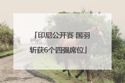 印尼公开赛 国羽斩获6个四强席位
