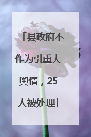 县政府不作为引重大舆情，25人被处理