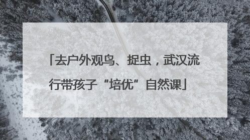去户外观鸟、捉虫，武汉流行带孩子“培优”自然课