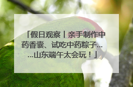假日观察丨亲手制作中药香囊、试吃中药粽子……山东端午太会玩！