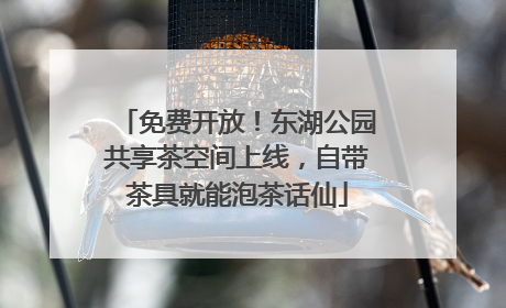 免费开放！东湖公园共享茶空间上线，自带茶具就能泡茶话仙