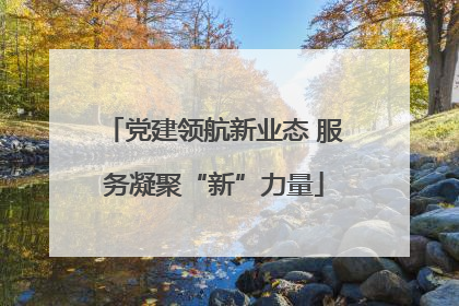 党建领航新业态 服务凝聚“新”力量