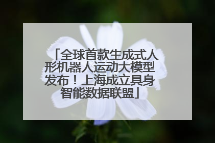 全球首款生成式人形机器人运动大模型发布！上海成立具身智能数据联盟