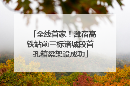 全线首家！潍宿高铁站前三标诸城段首孔箱梁架设成功