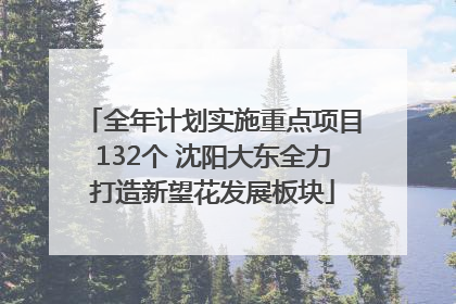 全年计划实施重点项目132个 沈阳大东全力打造新望花发展板块
