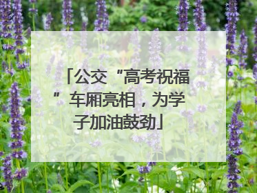 公交“高考祝福”车厢亮相，为学子加油鼓劲