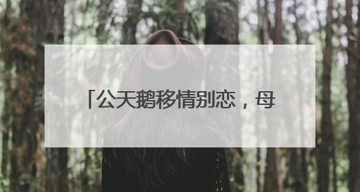 公天鹅移情别恋，母天鹅拒绝相亲，饲养员将“新欢”送走，时隔10天原配重逢