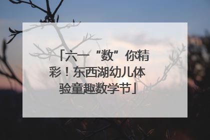 六一“数”你精彩！东西湖幼儿体验童趣数学节