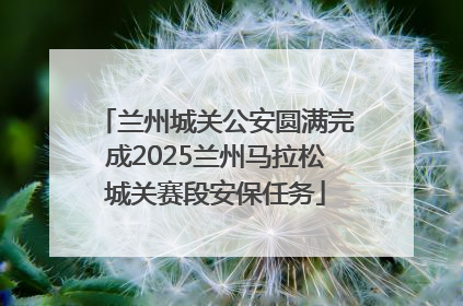 兰州城关公安圆满完成2025兰州马拉松城关赛段安保任务