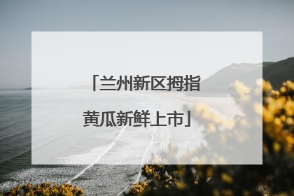 兰州新区拇指黄瓜新鲜上市