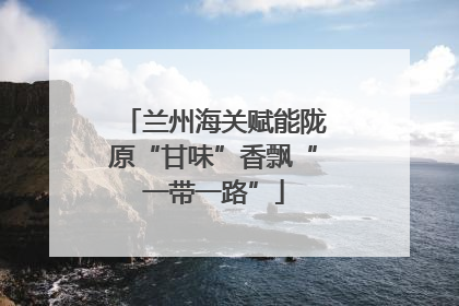 兰州海关赋能陇原“甘味”香飘“一带一路”