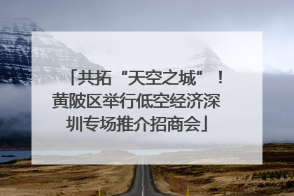 共拓“天空之城”！黄陂区举行低空经济深圳专场推介招商会