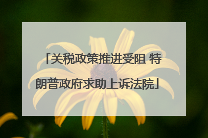 关税政策推进受阻 特朗普政府求助上诉法院