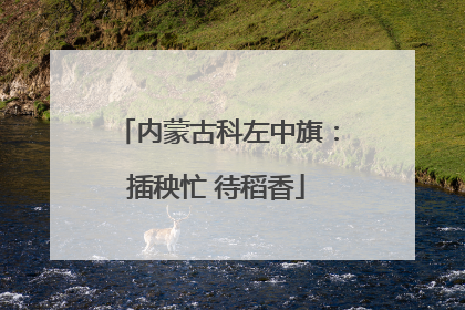 内蒙古科左中旗：插秧忙 待稻香