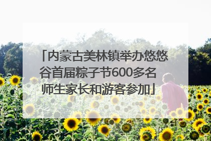 内蒙古美林镇举办悠悠谷首届粽子节600多名师生家长和游客参加