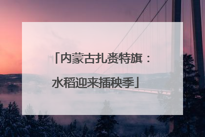 内蒙古扎赉特旗：水稻迎来插秧季