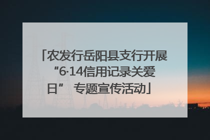 农发行岳阳县支行开展“6·14信用记录关爱日” 专题宣传活动