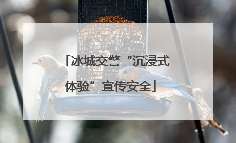冰城交警“沉浸式体验”宣传安全