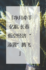 净月牵手亿航 长春低空经济“添翼”腾飞