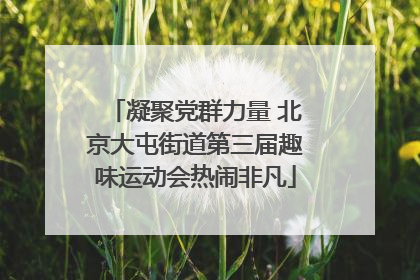 凝聚党群力量 北京大屯街道第三届趣味运动会热闹非凡