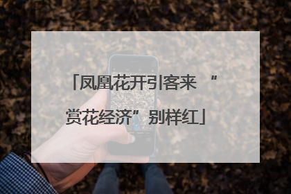 凤凰花开引客来 “赏花经济”别样红