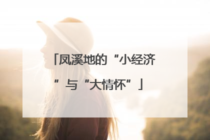 凤溪地的“小经济”与“大情怀”