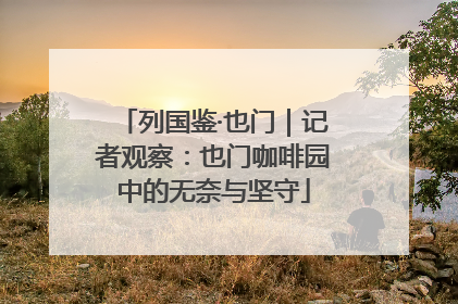 列国鉴·也门｜记者观察：也门咖啡园中的无奈与坚守