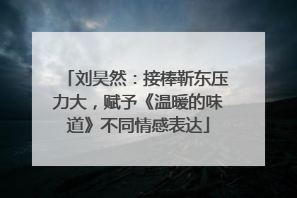 刘昊然：接棒靳东压力大，赋予《温暖的味道》不同情感表达