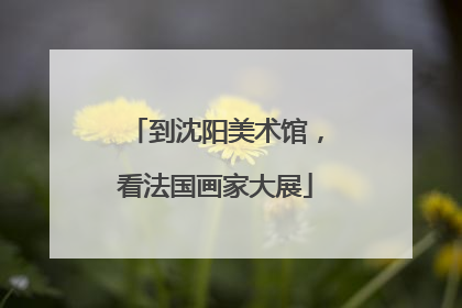 到沈阳美术馆，看法国画家大展