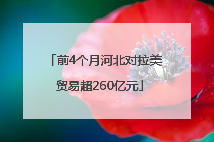 前4个月河北对拉美贸易超260亿元