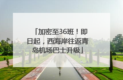 加密至36班！即日起，西海岸往返青岛机场巴士升级