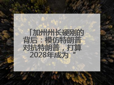 加州州长硬刚的背后：模仿特朗普对抗特朗普，打算2028年成为“特朗普”