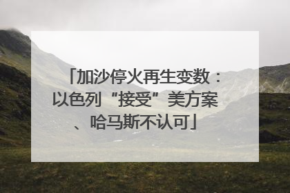 加沙停火再生变数：以色列“接受”美方案、哈马斯不认可