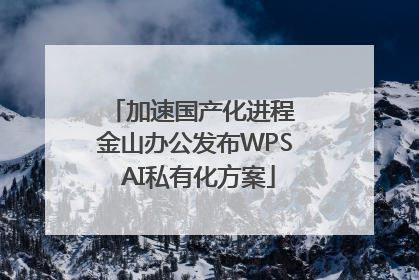 加速国产化进程 金山办公发布WPS AI私有化方案