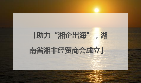 助力“湘企出海”，湖南省湘非经贸商会成立