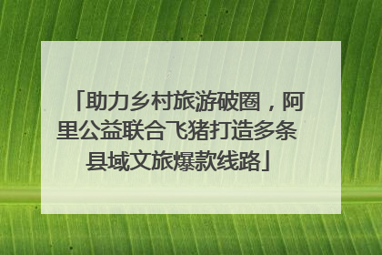 助力乡村旅游破圈，阿里公益联合飞猪打造多条县域文旅爆款线路