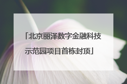 北京丽泽数字金融科技示范园项目首栋封顶