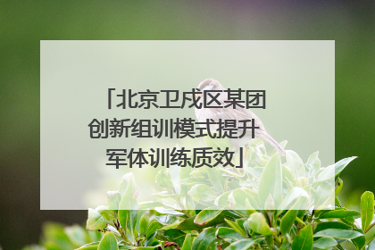 北京卫戍区某团创新组训模式提升军体训练质效