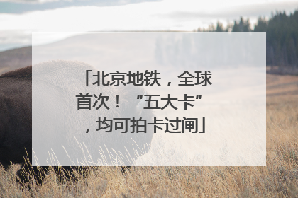 北京地铁，全球首次！“五大卡”，均可拍卡过闸