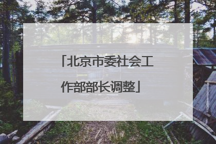北京市委社会工作部部长调整