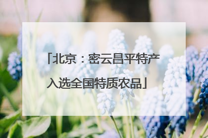 北京：密云昌平特产入选全国特质农品
