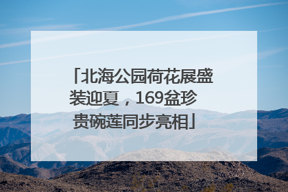 北海公园荷花展盛装迎夏，169盆珍贵碗莲同步亮相