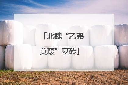 北魏“乙弗莫瓌”墓砖