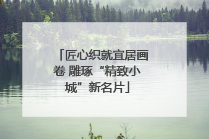 匠心织就宜居画卷 雕琢“精致小城”新名片